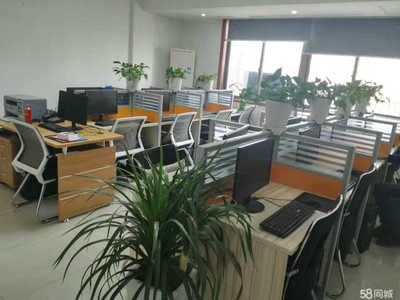 義烏新碩網絡科技