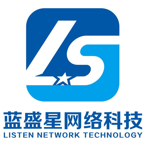 合肥藍盛星網絡科技 創新驅動，引領數字化未來