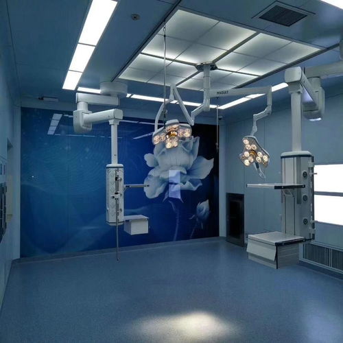 東湖區LG同質透心地板優芮系列 走量合作，共創雙贏